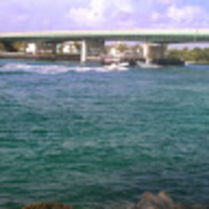 Meet your Posher, Willy